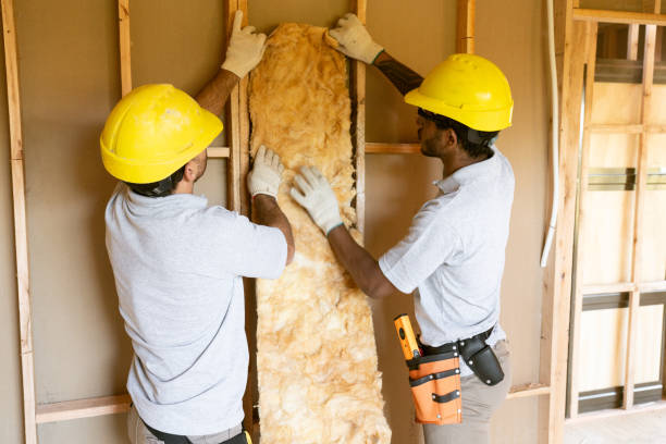 Professional Insulation Contractor in Auburndale, FL